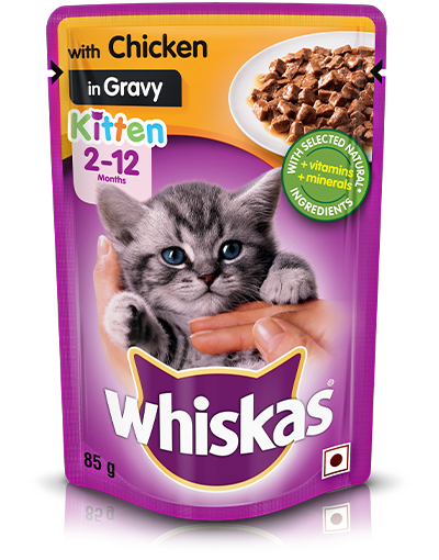 Whiskas Kitten Food Chicken in Gravy Cat Food (85 gm) in Trichy at