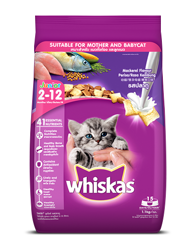 Cat food distributors best sale