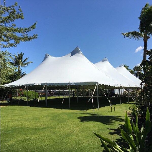 White Maharaja Tent For Resort in Jodhpur at ₹ 60,000 - ₹ 1 L