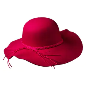 Women-Hat in Bangalore at best price by 