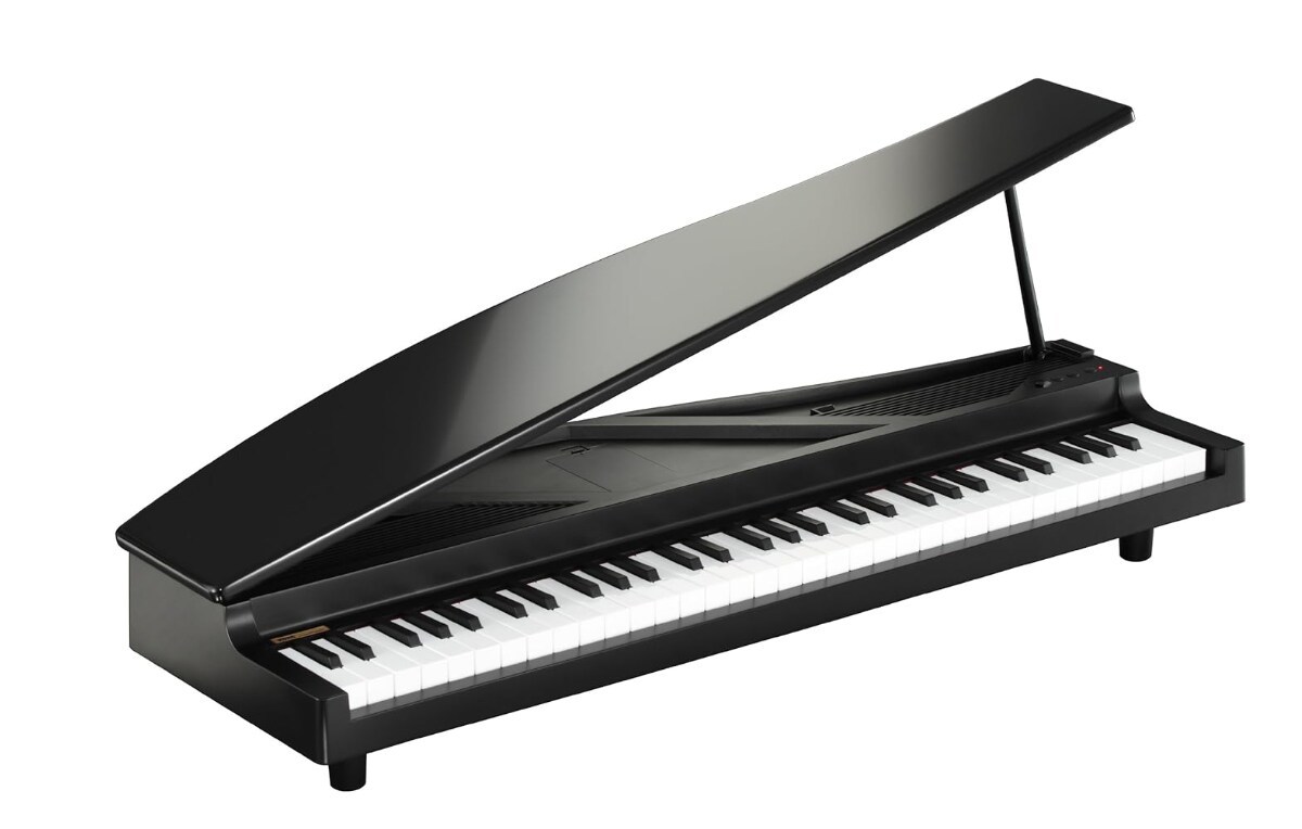 Wooden Key Compact Digital Piano Black and White in Delhi at
