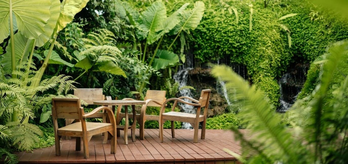 Visit Wild Garden Cafe 