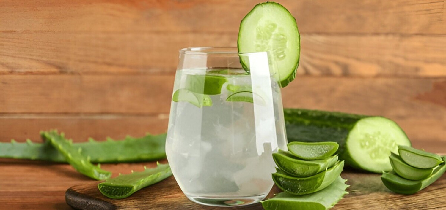 aloe vera blattsaft Bio Aloe Vera Direktsaft, keine Rückverdünnung – WILD BABOON main image 1