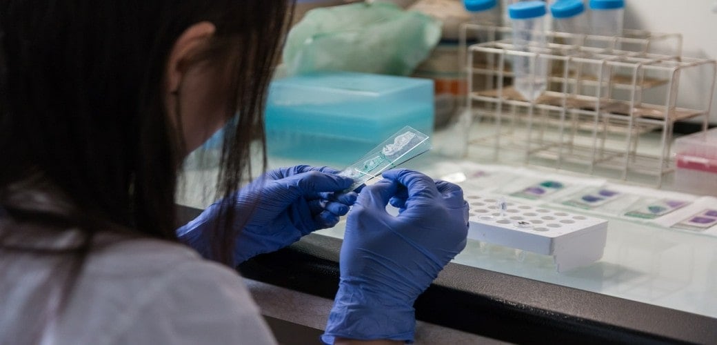 Lab view 7
