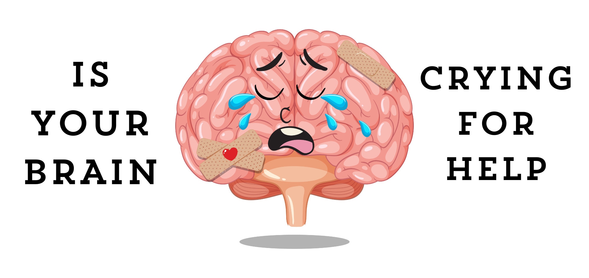 Brain Health: Tips to Boost Memory, Focus and Mind Power - Jd Collections