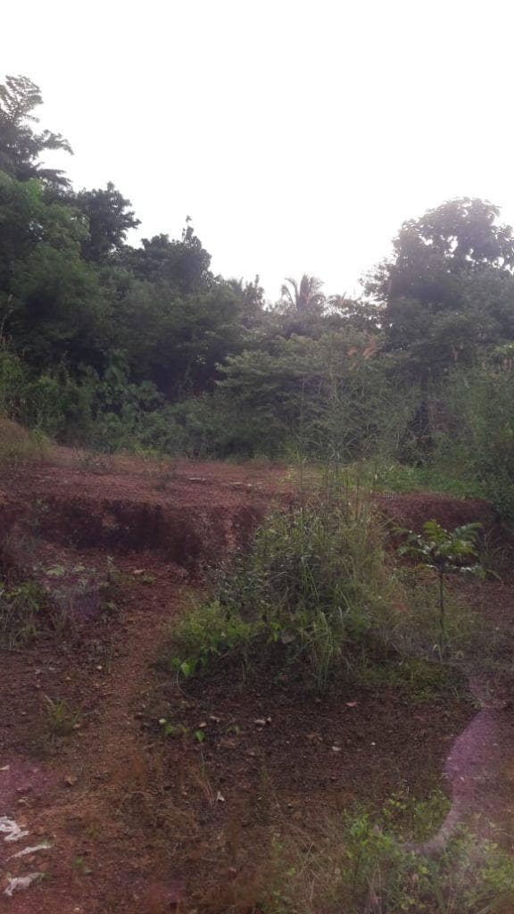 Property in Thalassery Apartments, Flats, Houses, Offices for Sale in