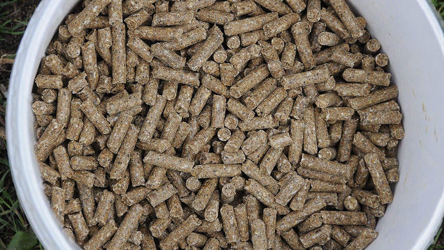 Breeboom Feed Ingredient Get Best Price from Manufacturers & Suppliers in India