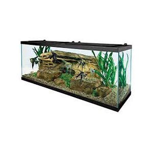 sobo fish tank