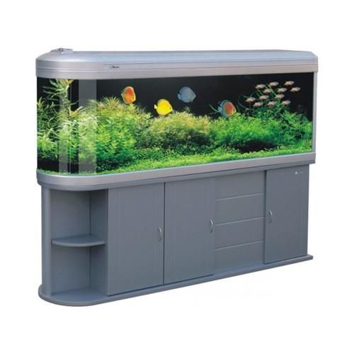 5ft tropical fish tank