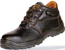 dc safety shoes