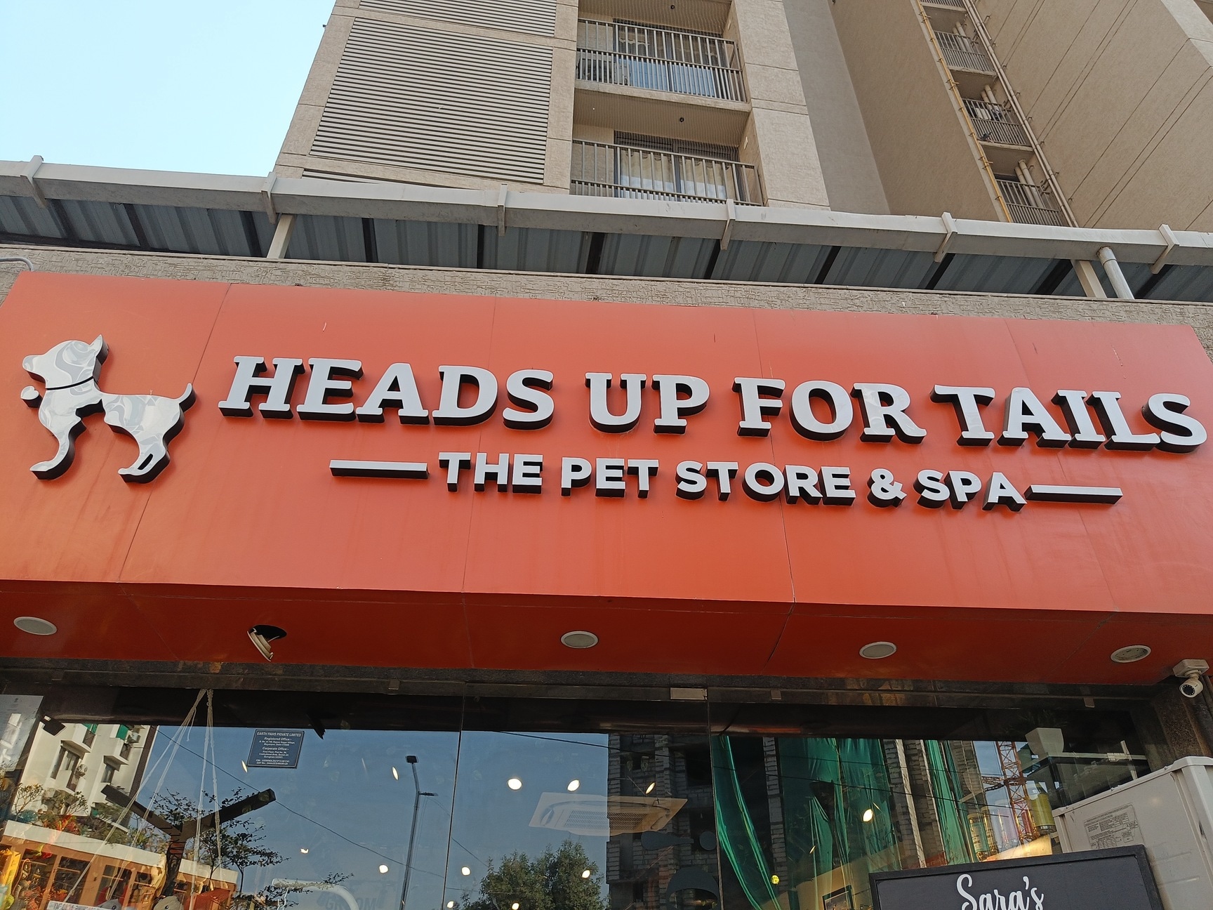 Vadodara Grooming Spa Pet Grooming Service At Home In Vadodara