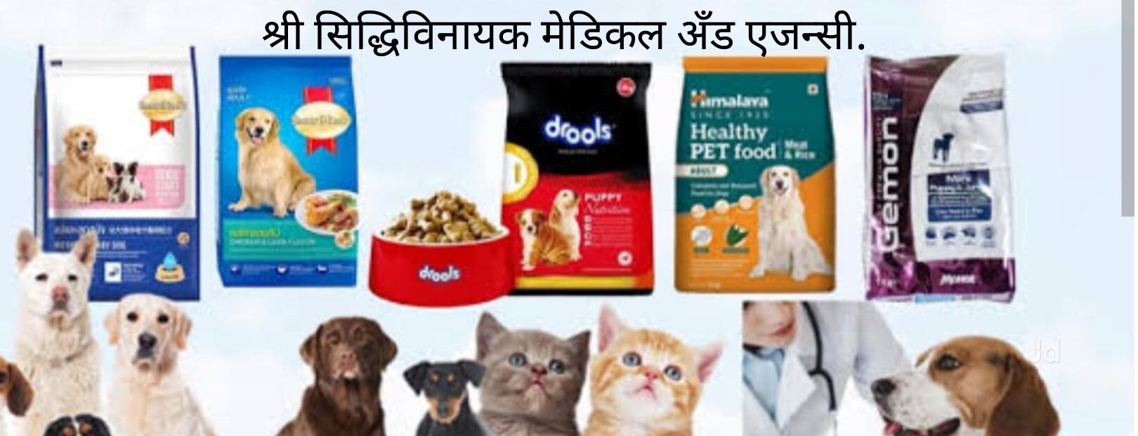Vijayawada Pharmacies That Carry Pet Meds Veterinary Medicines In