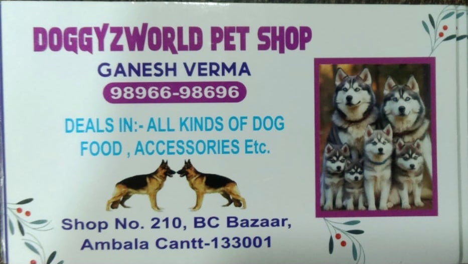 Himalaya Pet Meal Himalaya Pet Cuisine Price Starting From Rs