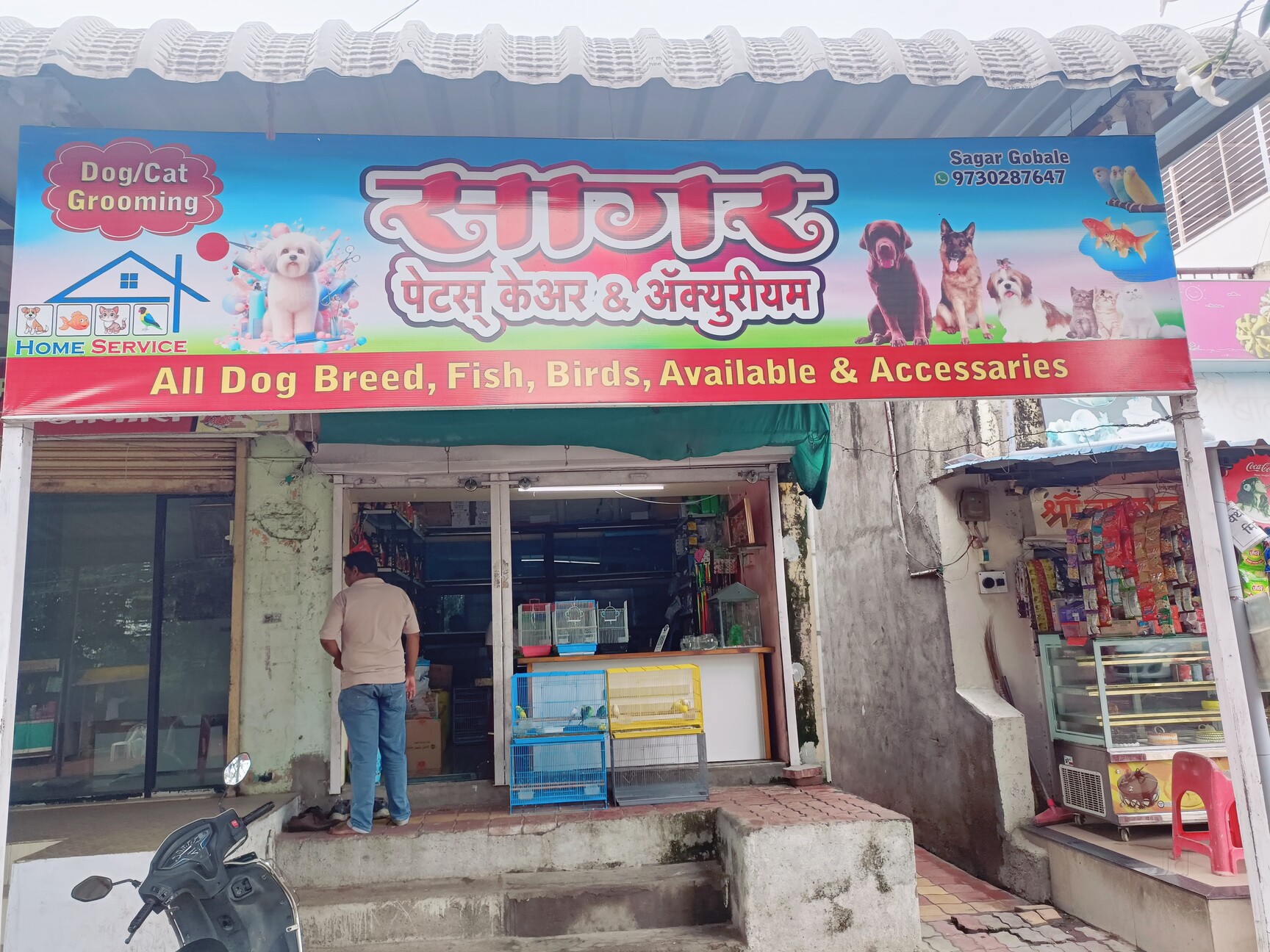 Pet Cage in Bhopal Durable and Spacious Pet Crates Justdial