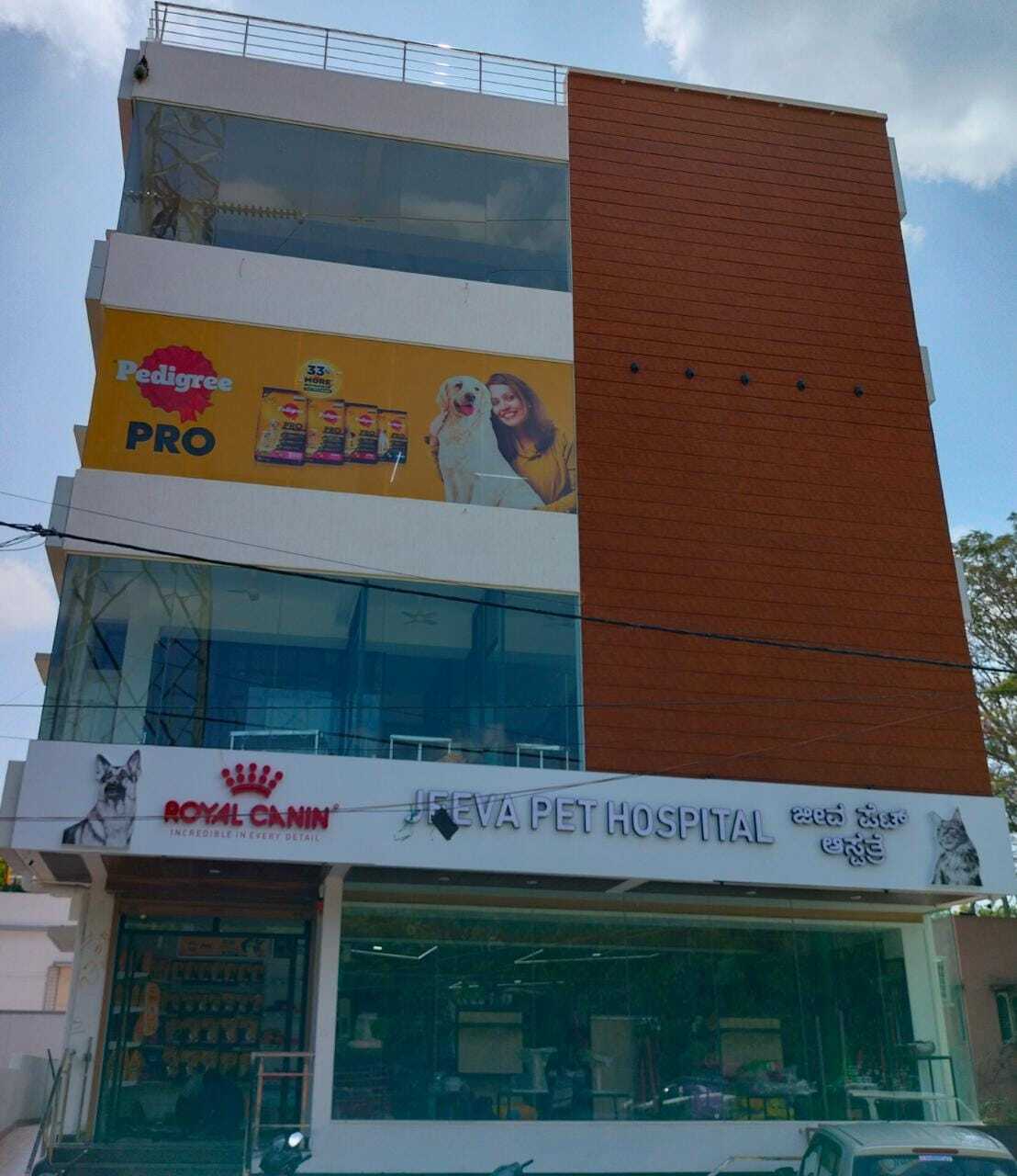 Bangalore Vet Hospital Near Me Bangalore Pet Animal Dog