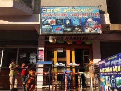 Bangalore Aquarium Wholesale Shop Aquarium Shop Near Marathahalli