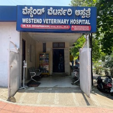 Bangalore Near Me Veterinary Hospital Bangalore Pet Hospital Near