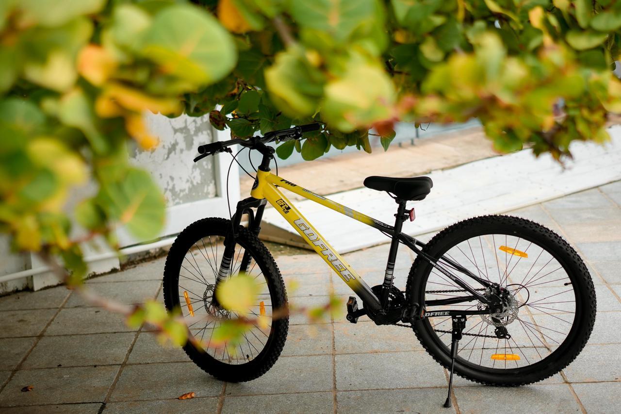 Doraemon Flower Power 20T Cycle Doraemon Flower Power 20T