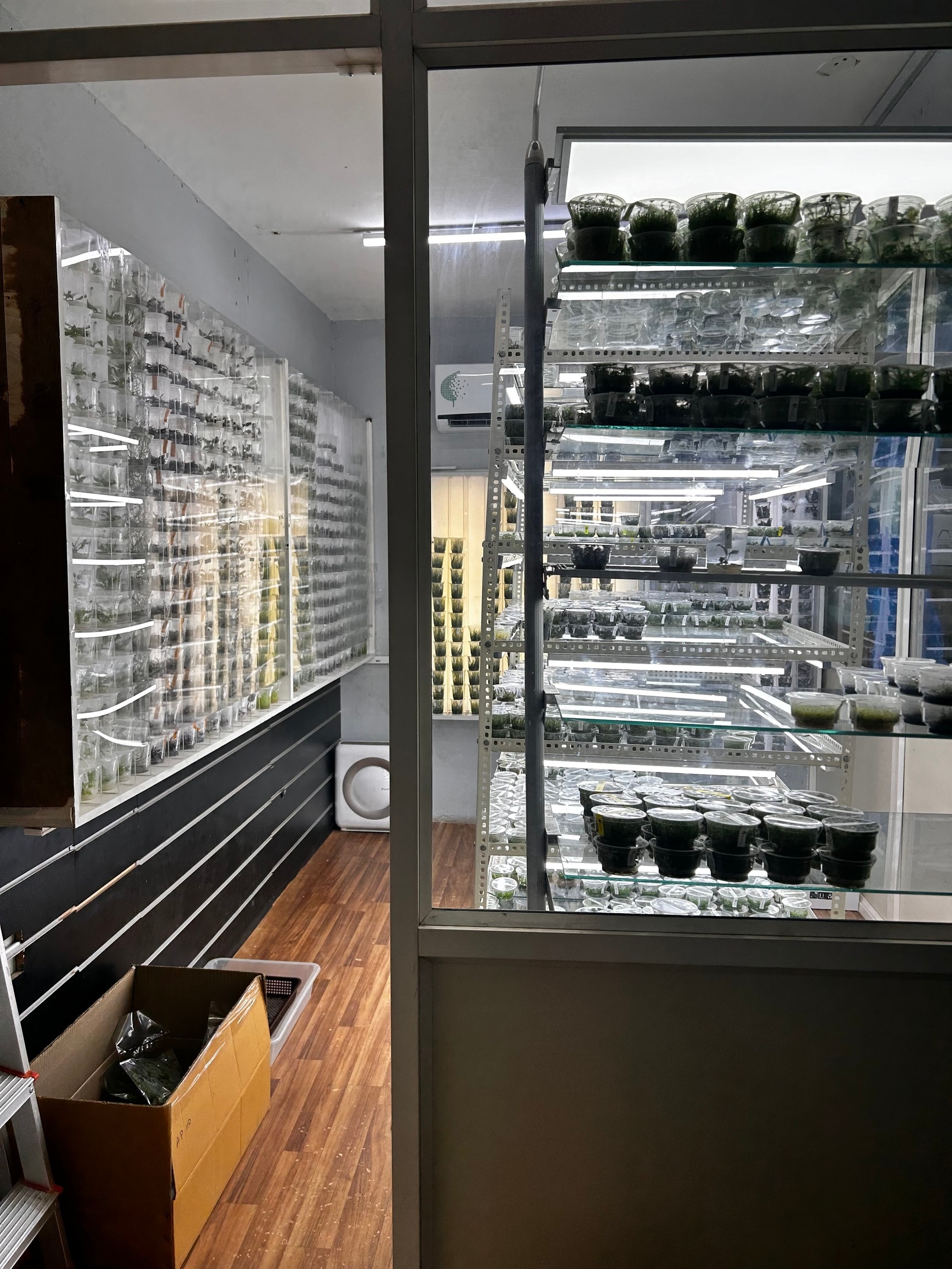 Ada Warehouse in Mission Road, Bangalore - Best Aquarium Accessory ...