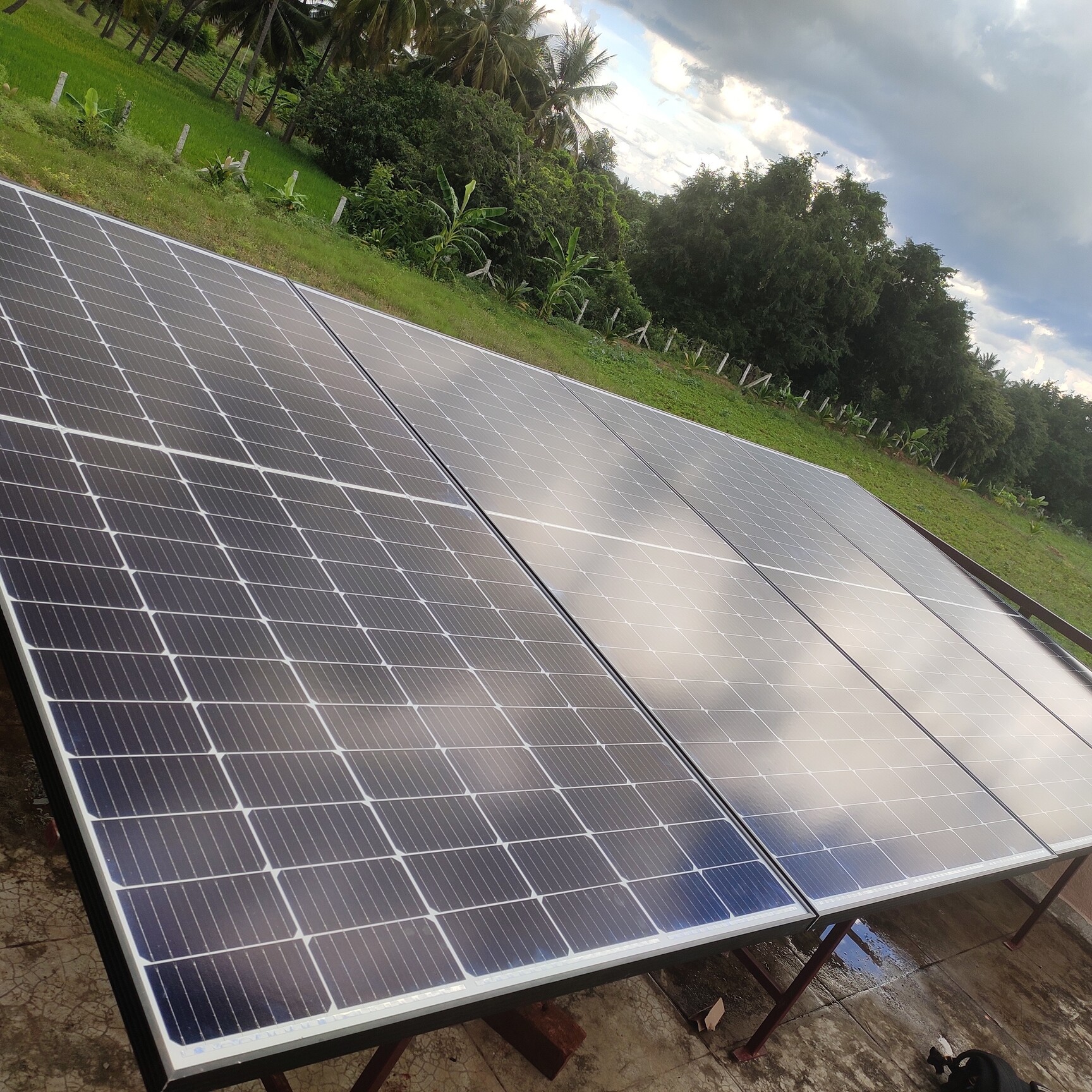 BUFFALO Pumps Price Starting From Rs 4,254 Find Verified Sellers