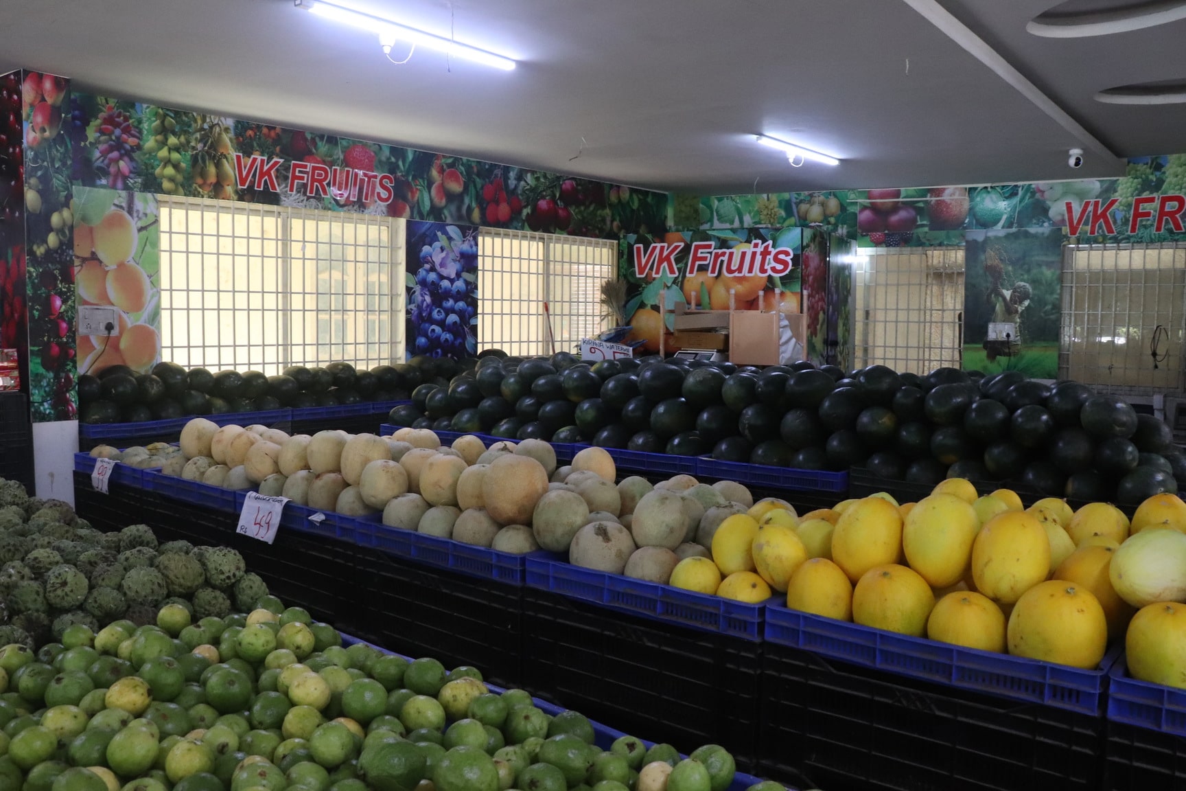 Vk Fruits in Yelahanka New Town, Bangalore - Best Fruit