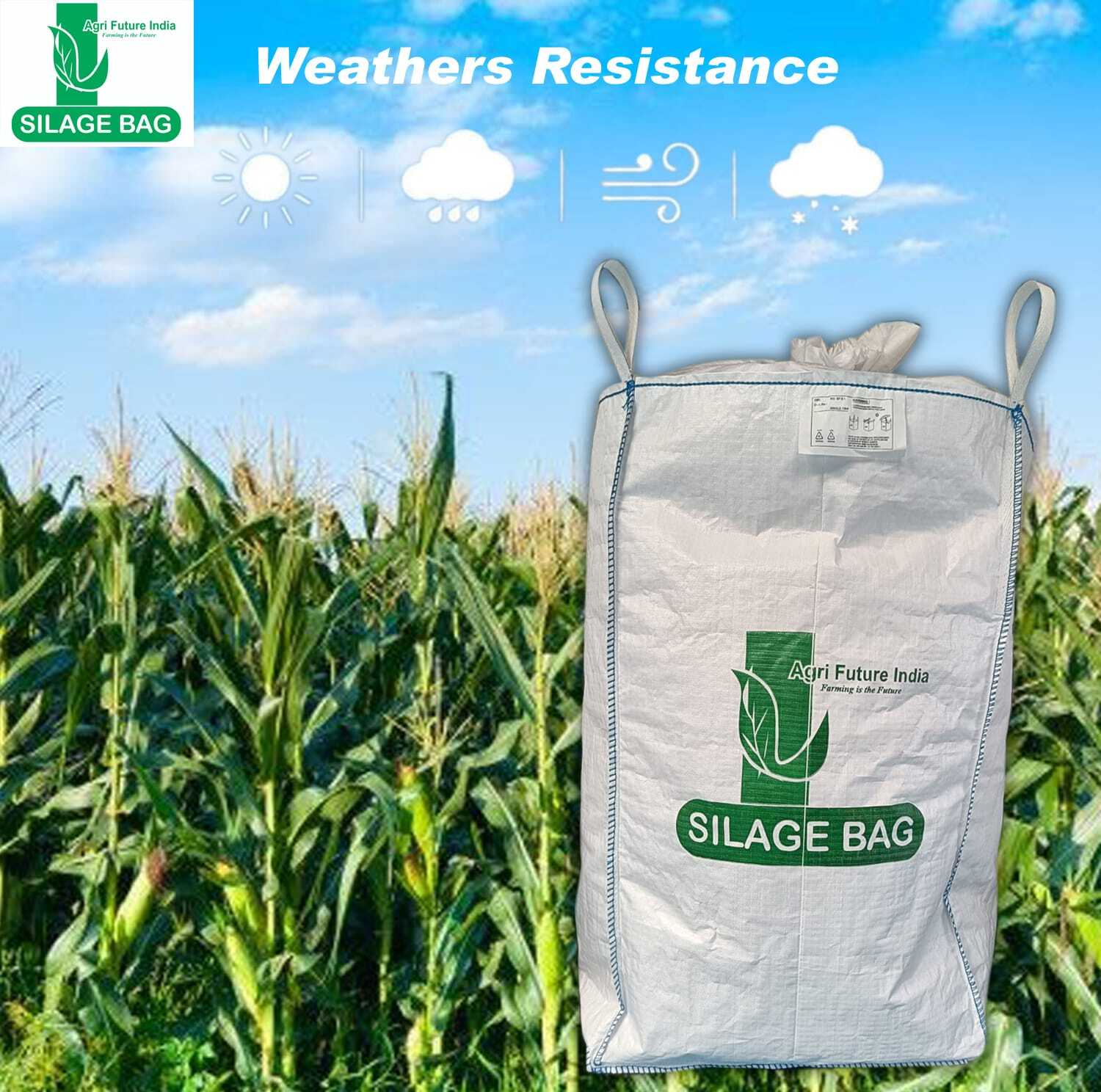 Jumbo Bag in Mangalore Durable Bulk Bags for All Needs