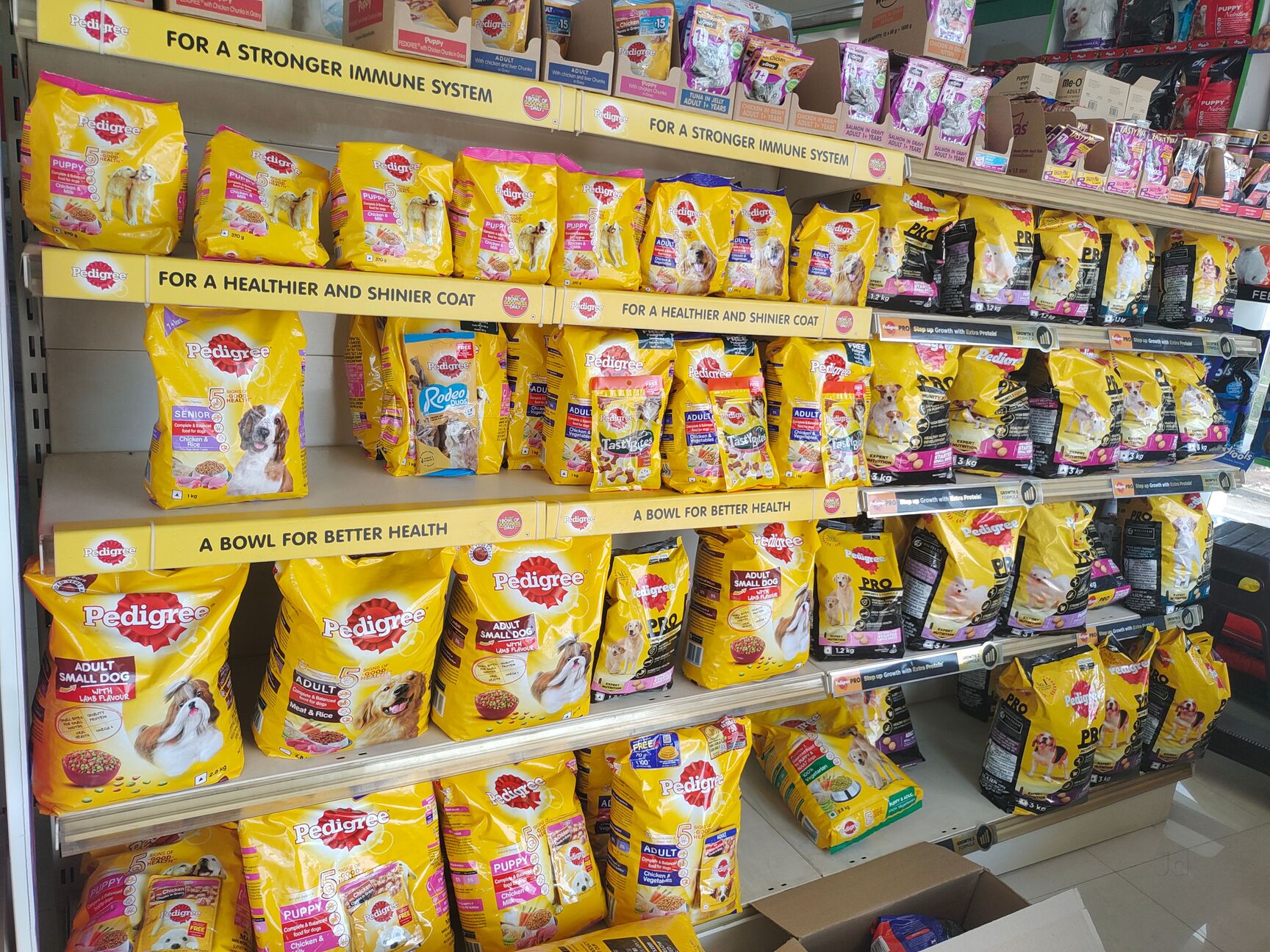 In Bangalore Closest Pet Food Store Near Me Nearest Pet Store To