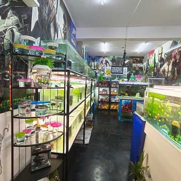 Petsolutions live fish best sale