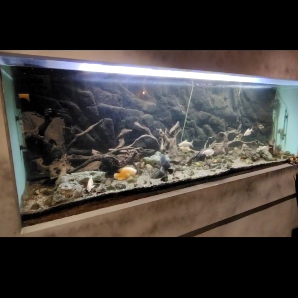 Sunsun Hqj Aquarium Internal Filter in Karimnagar Dealers