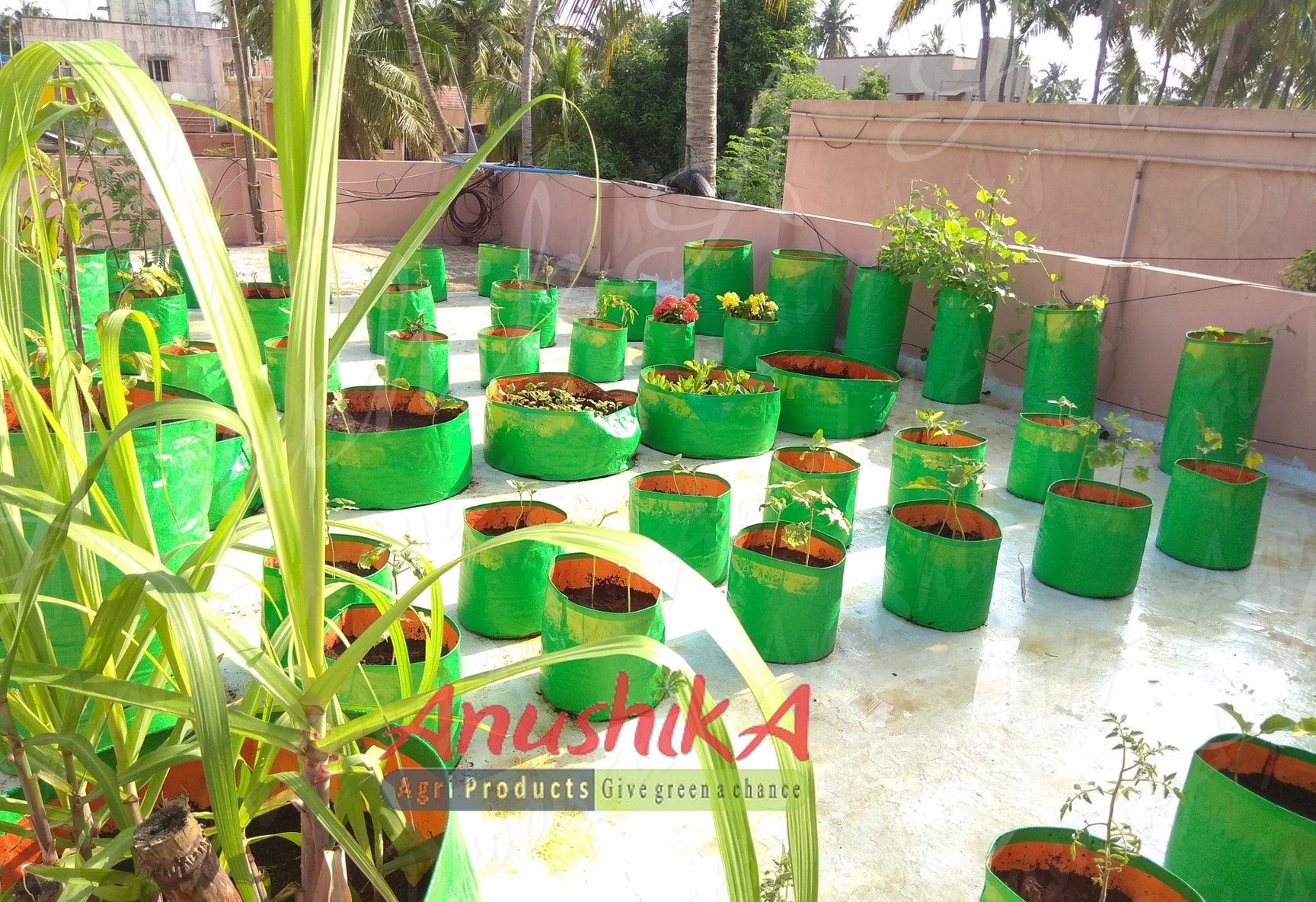 अनाज कीमत Rs 29/Kg से शुरू। Justdial पर