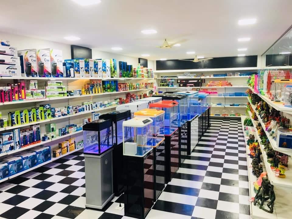 AQUARIUM ACCESSORY in Chennai Essential, Durable Stylish