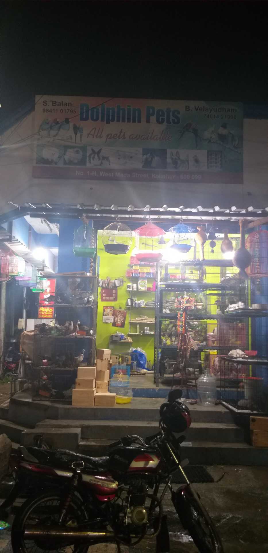 Pet Grooming Supplies in Chennai Premium Quality, Essential