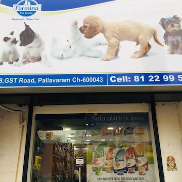 Lovely Pet Shop in Pallavaram Chennai Best Aquarium Accessory Dealers near me in Chennai Justdial