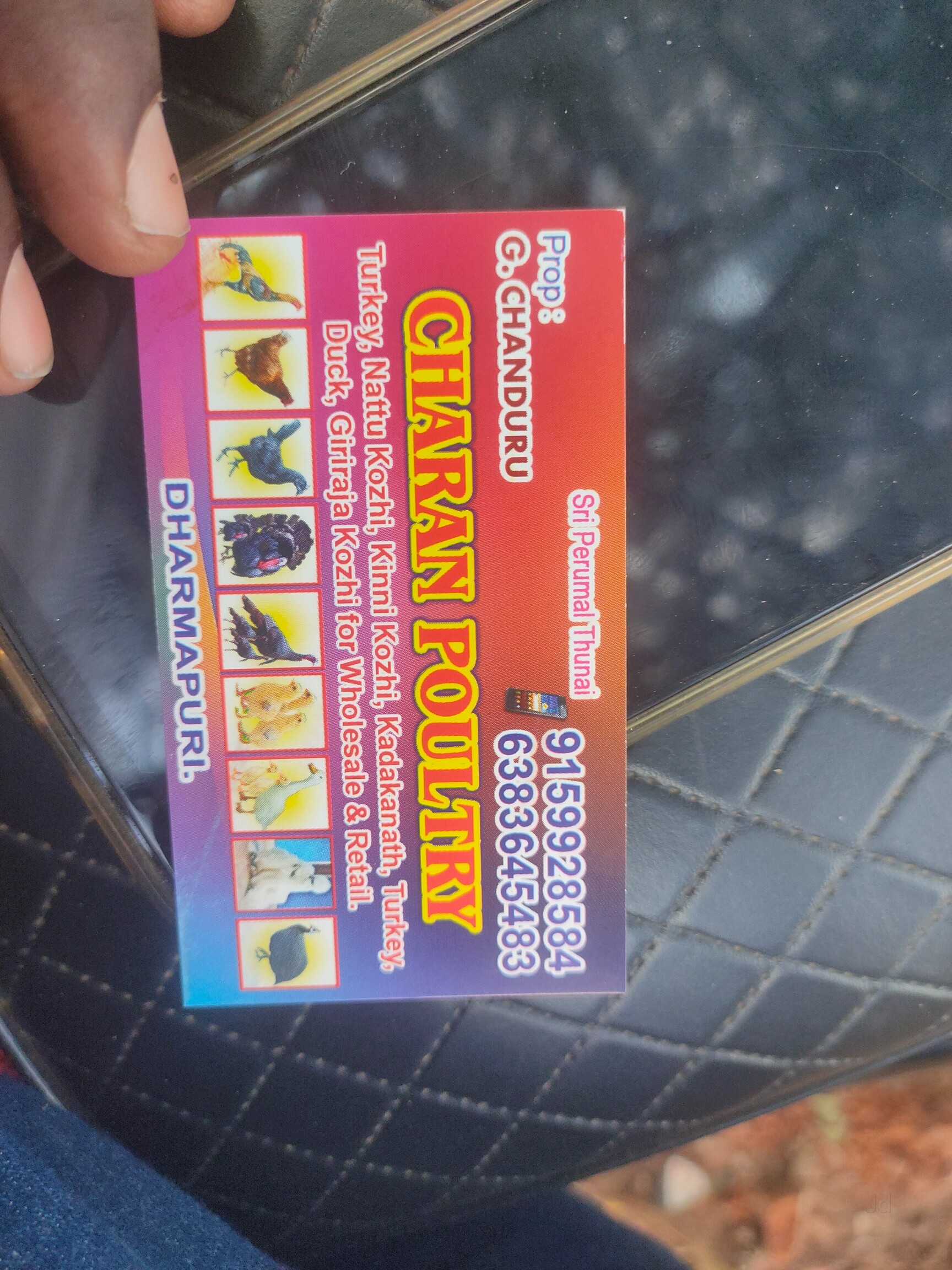 Mushukni yalash qanday his qiladi?