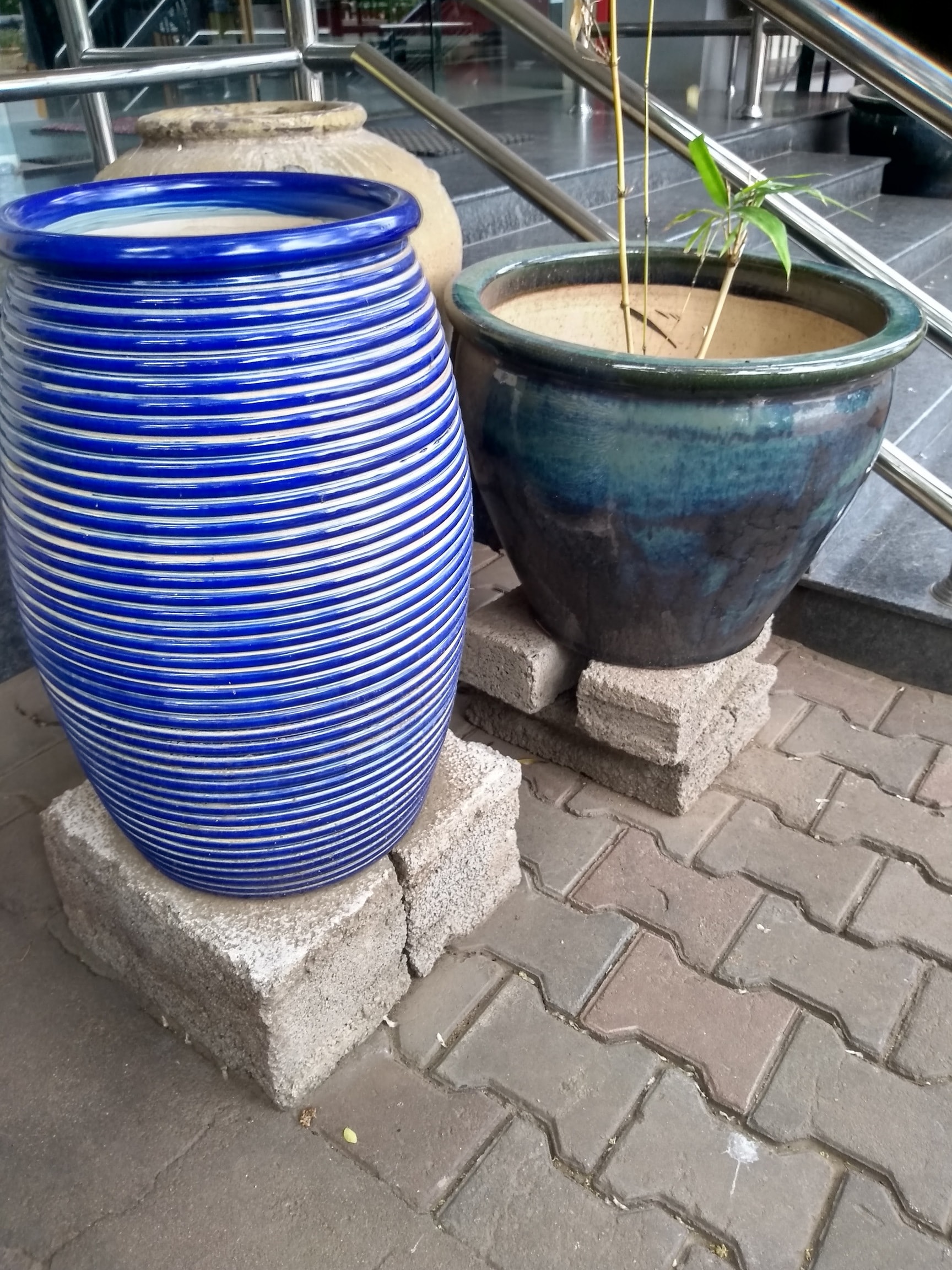 The Garden Shop in Race Course, Coimbatore - Best Plant Nurseries