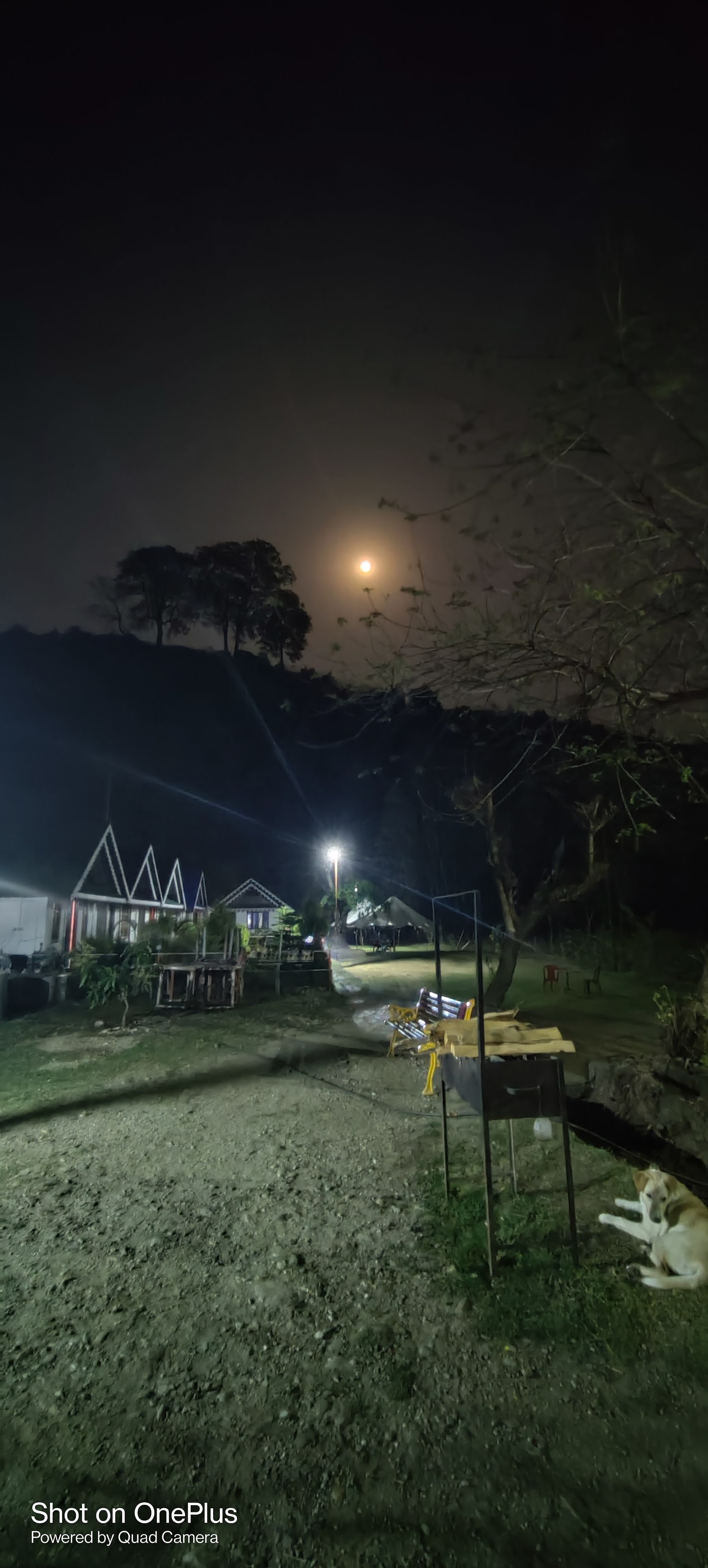 8 Photos of Yellow Stone River Side in Dudhia, Darjeeling - Justdial