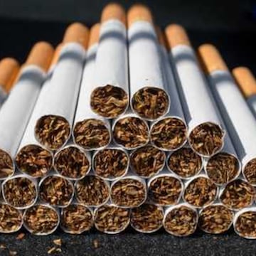 how is menthol tobacco made Four Seasons