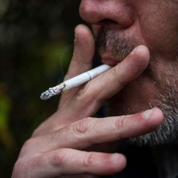 elfbar nachfüll pod läuft aus Hidden dangers of vaping: E-cigarettes even without nicotine can damage  heart, lungs