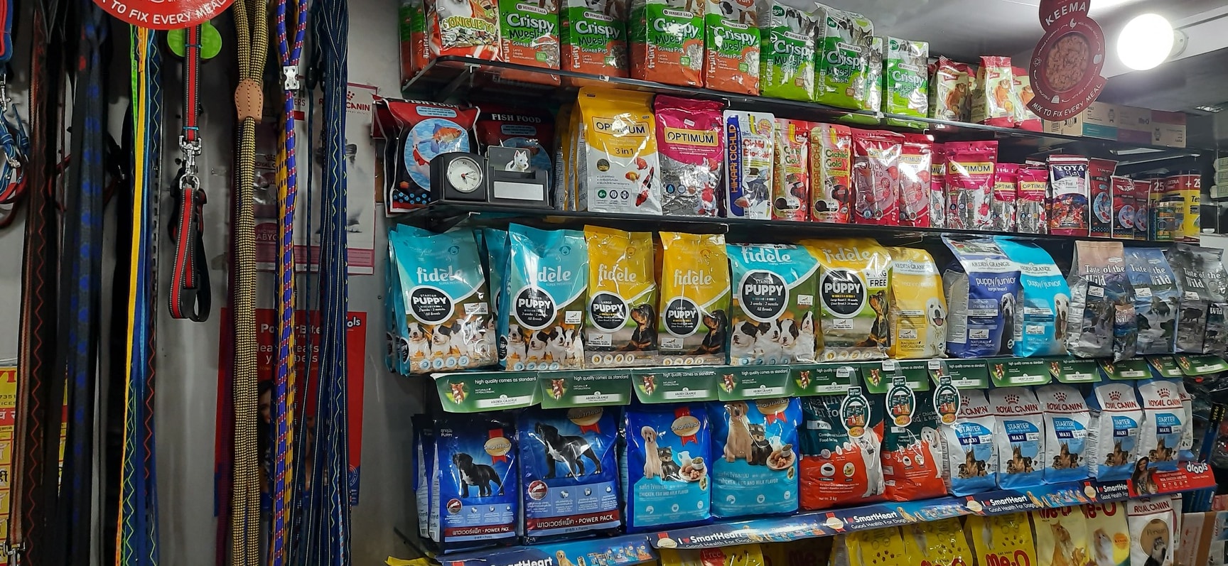 Pet Cage in Dehradun Durable and Spacious Pet Crates Justdial