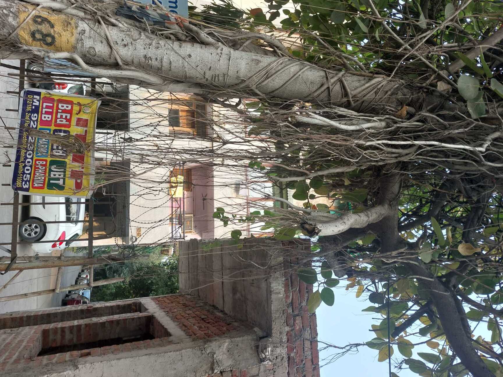 Casual Wear Half Sleeves Boys Shirts Get Best Price from