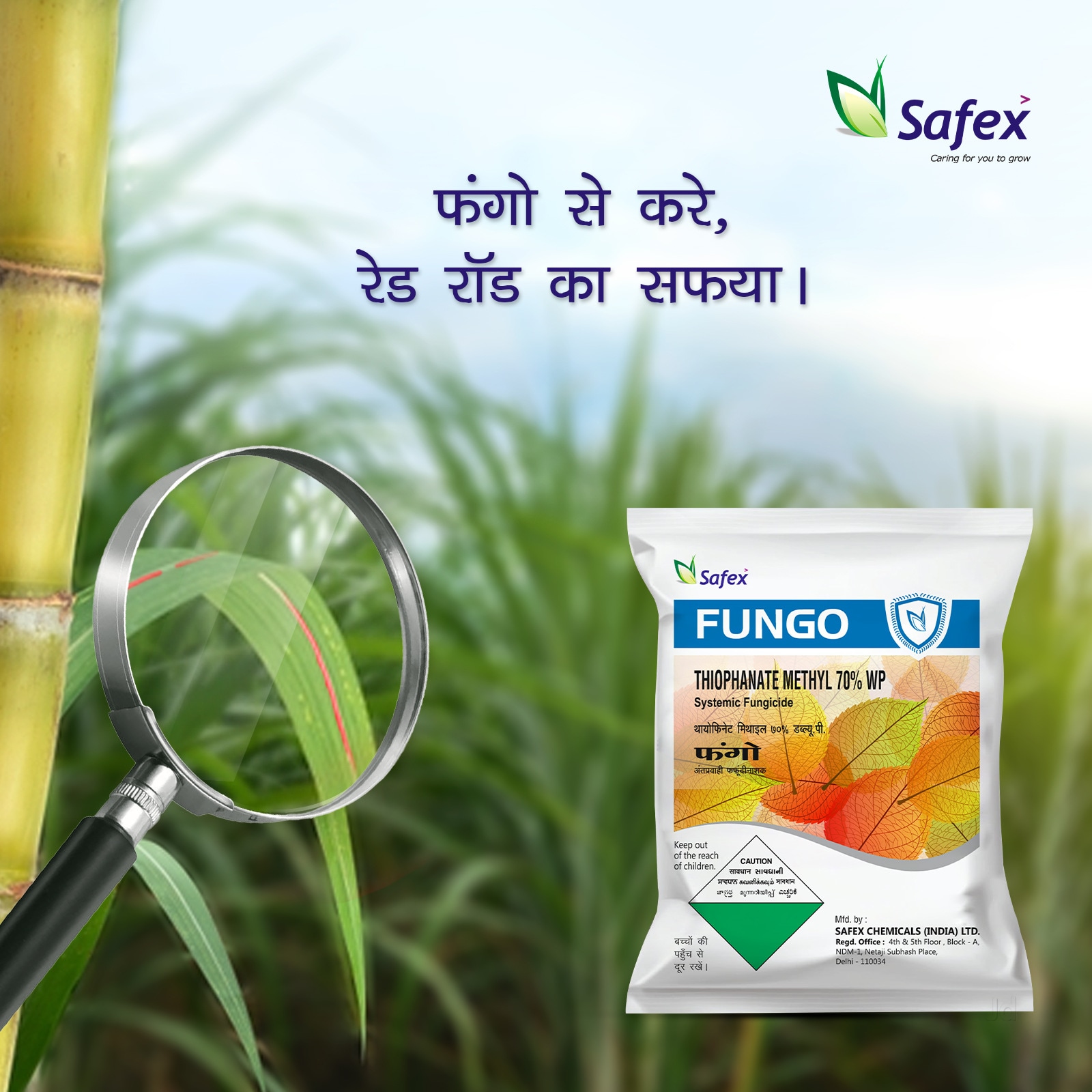 78 Reviews for Safex Chemicals India Ltd in Rohini Sector 10, Delhi -  Justdial