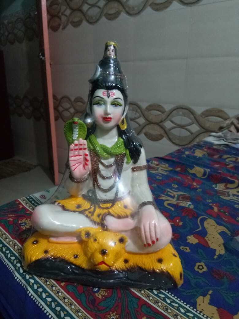 Calamus Essential Oil in Delhi Pure, Aromatic Therapeutic