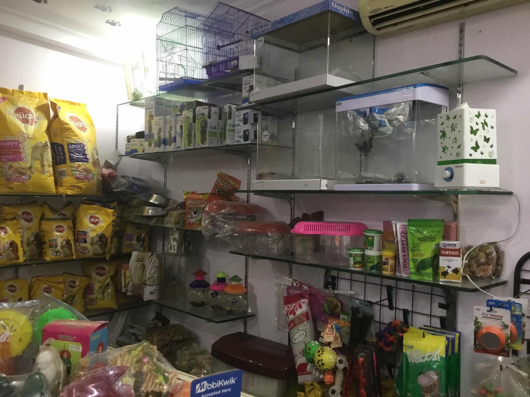 Delhi Pet Shops Near Here Pet Care Services Delhi Book At Home Pet