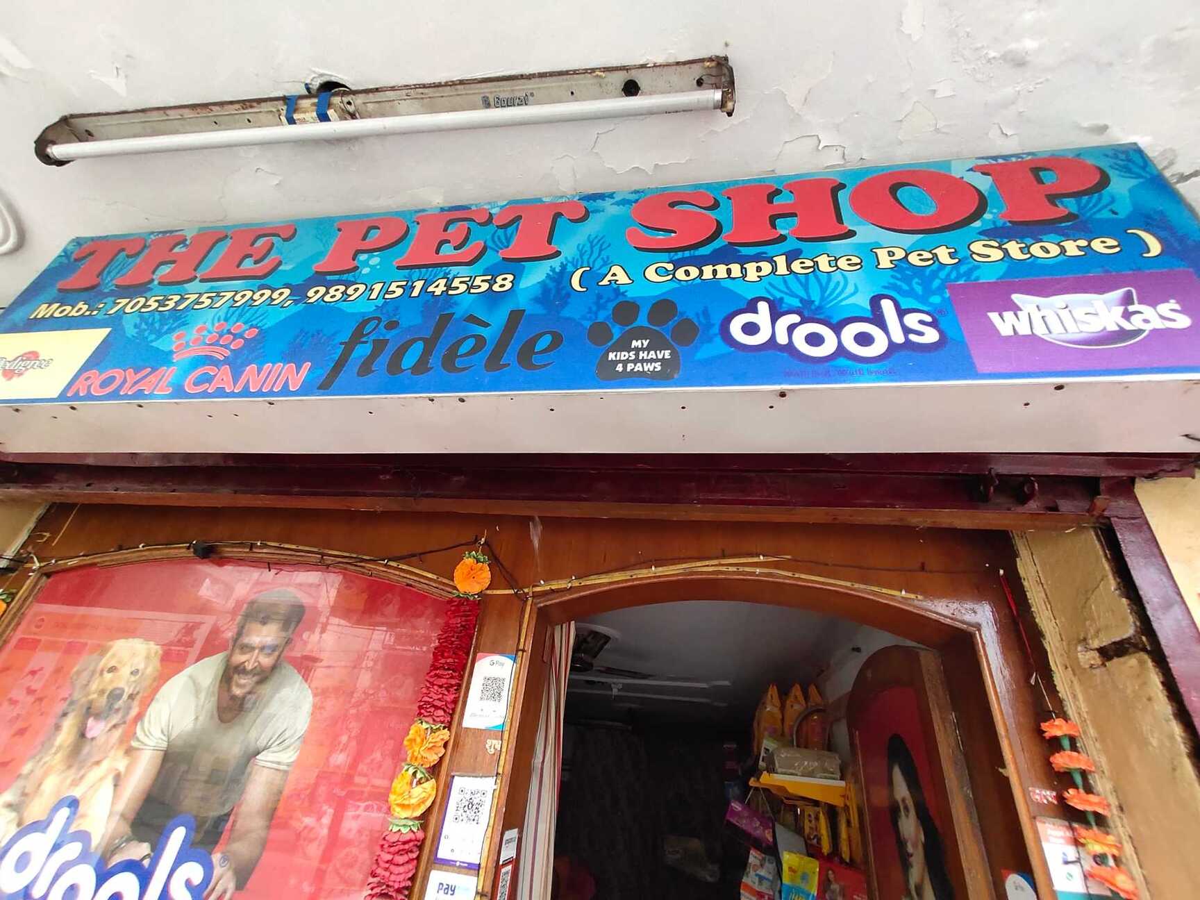 Dog Kennel in Chandigarh Spacious, Comfortable Durable