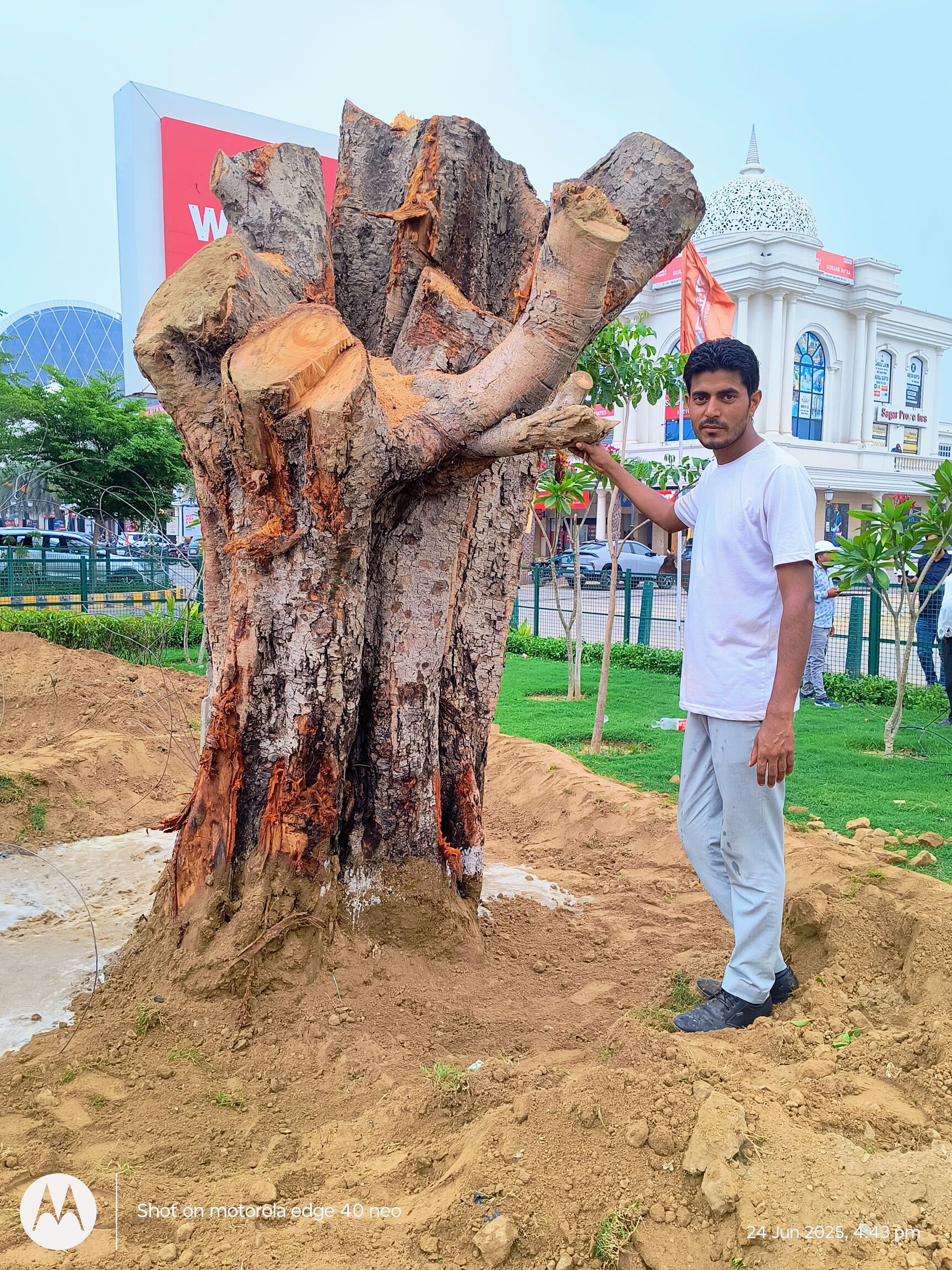 Lakhimpur Kheri Bajaj Hindusthan Sugar Mill Firewood Fire Lakdi