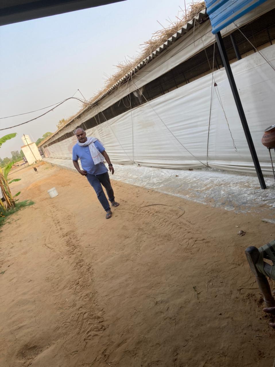J D Rao J M D Rao Poultry Farm in Farukhnagar, Gurgaon - Best Poultry Farms in ...