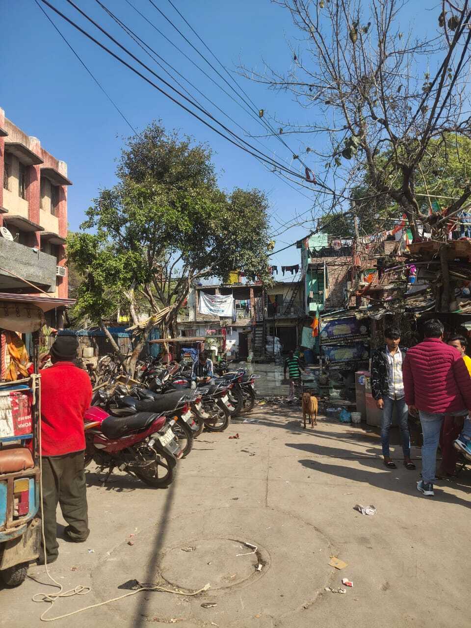 K♢041 stylist PW4241 - Rs. 12,000 A 2pc festive outfit featuring an intricately