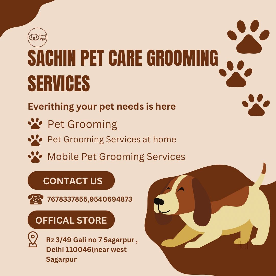 Curated visual reference: Top Mobile Pet Grooming Services In New Delhi Photo Inspiration