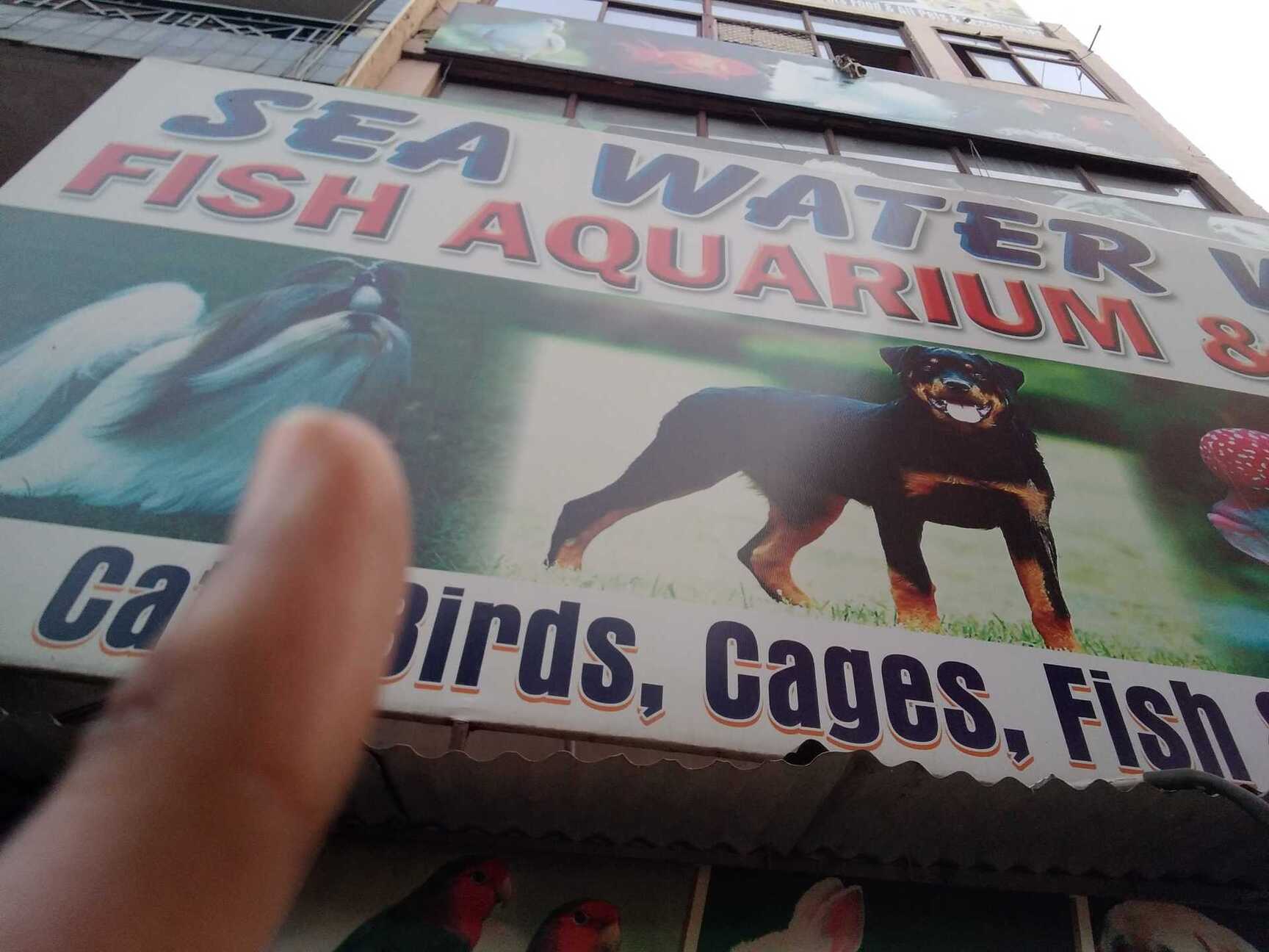 Aquapaw Pet Product Price Starting From Rs Find Verified