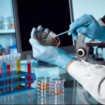 Lab view 19